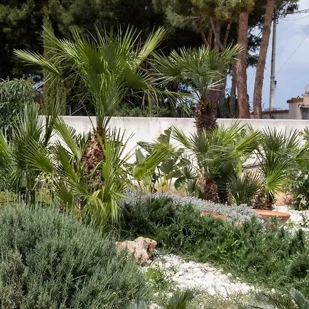 Holiday home Casa Enza Di Fronte La Tonnara *